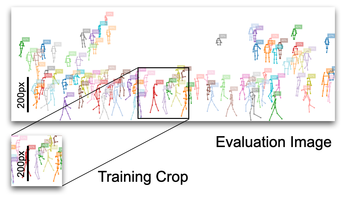 training crop size